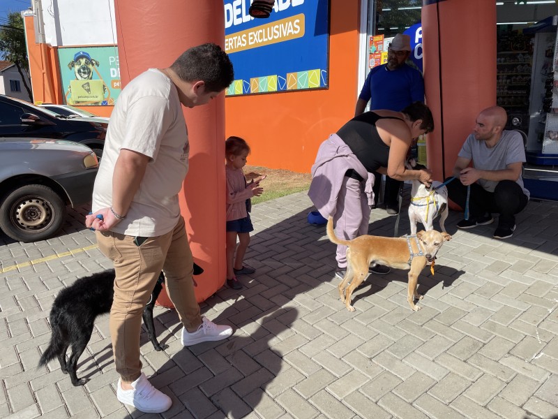 imagem notícia